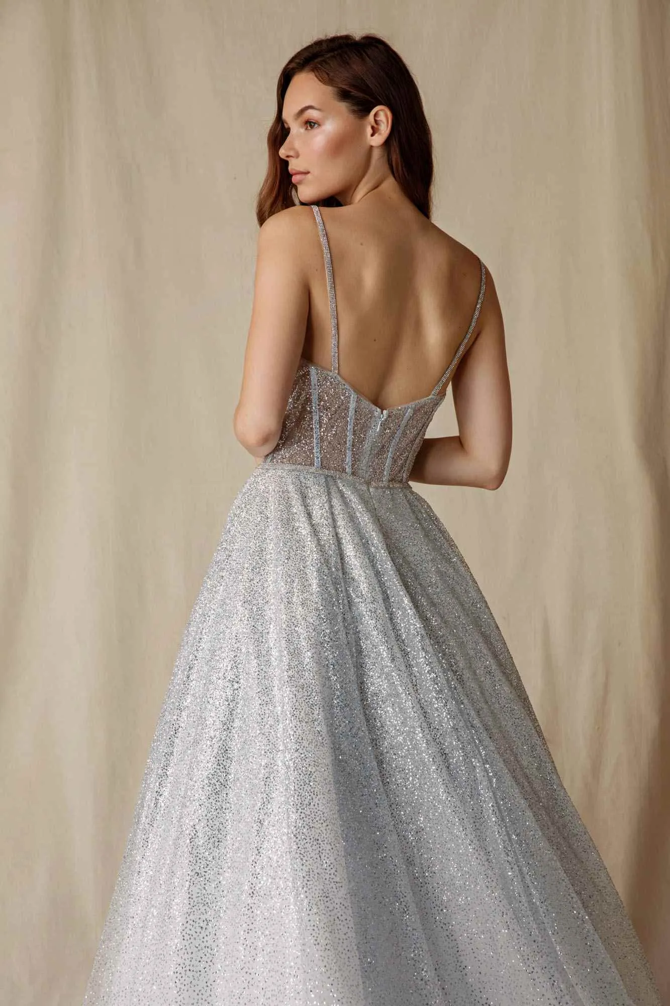 Eureka 9900 Long Glitter Mesh Gown with Boned Bodice