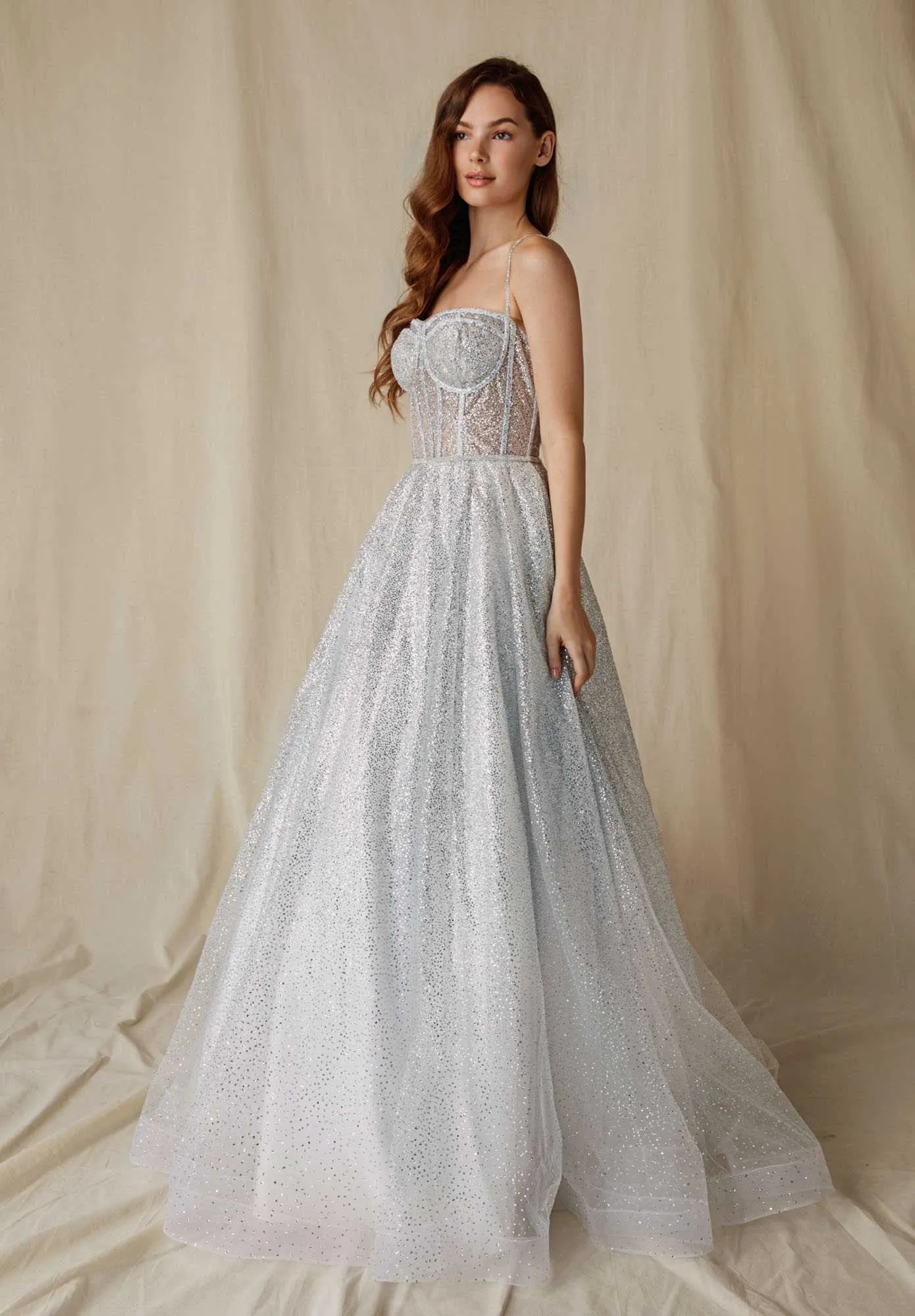 Eureka 9900 Long Glitter Mesh Gown with Boned Bodice