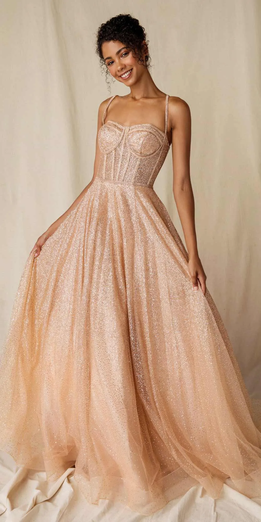 Eureka 9900 Long Glitter Mesh Gown with Boned Bodice