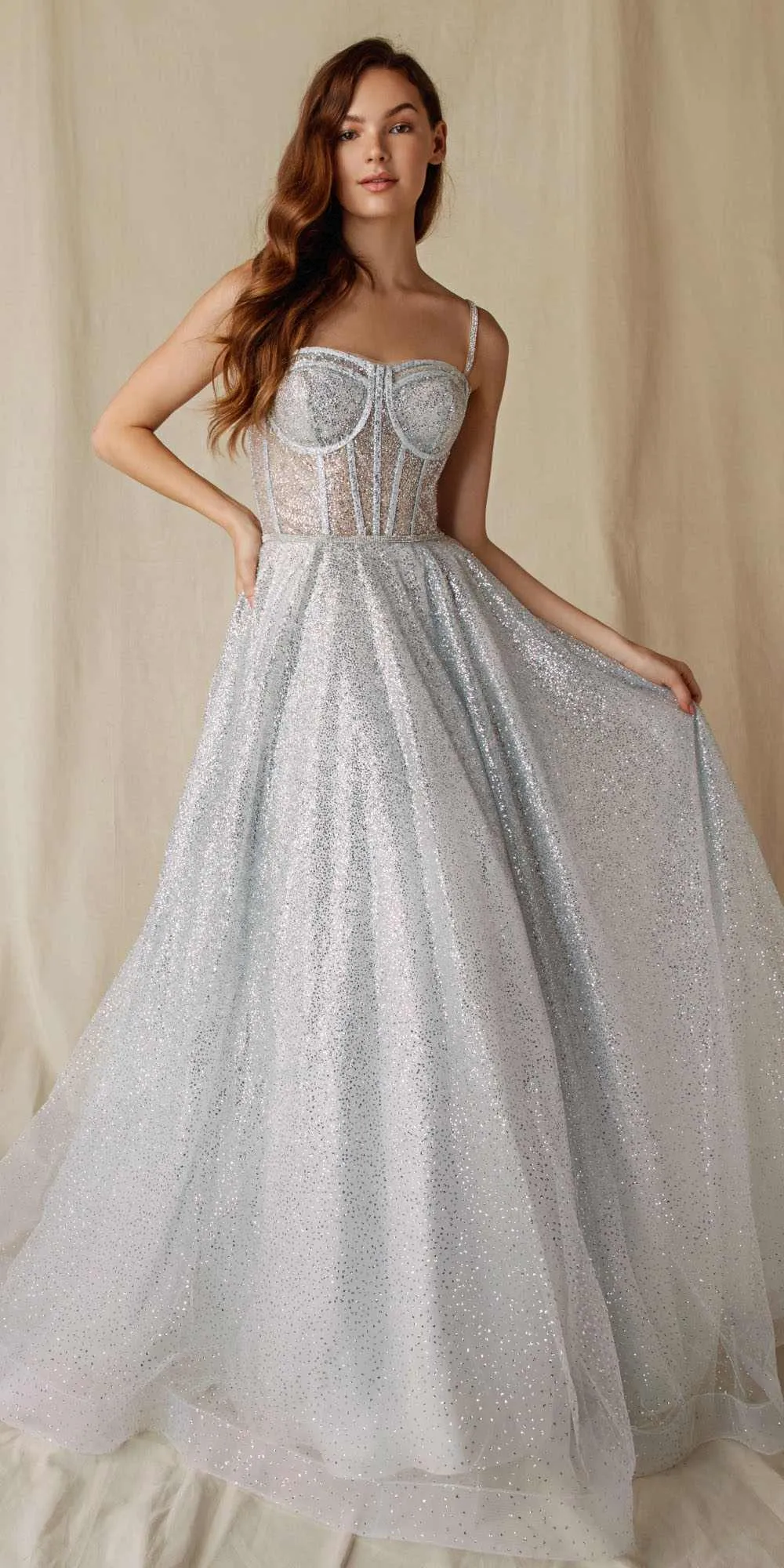 Eureka 9900 Long Glitter Mesh Gown with Boned Bodice