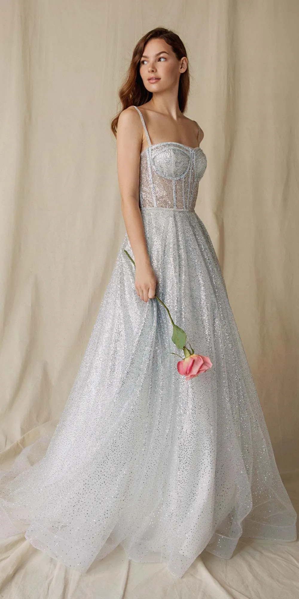 Eureka 9900 Long Glitter Mesh Gown with Boned Bodice