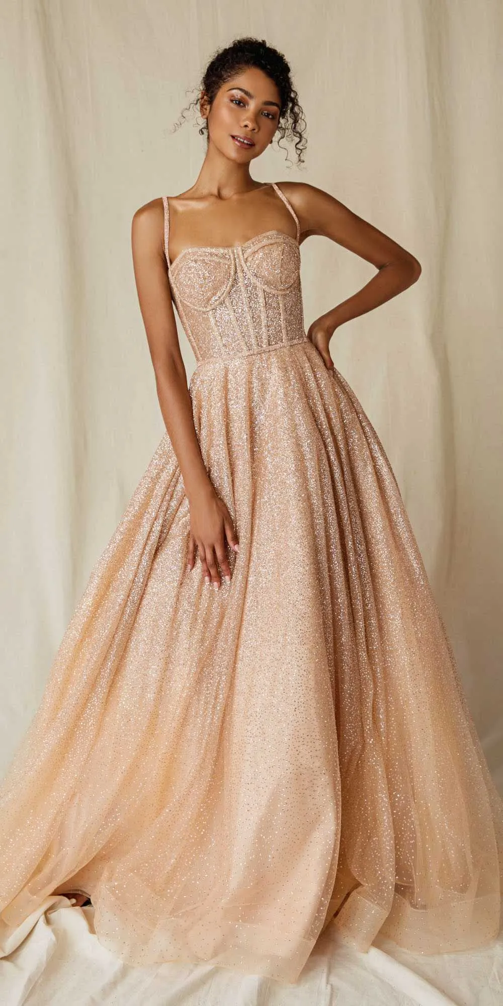 Eureka 9900 Long Glitter Mesh Gown with Boned Bodice