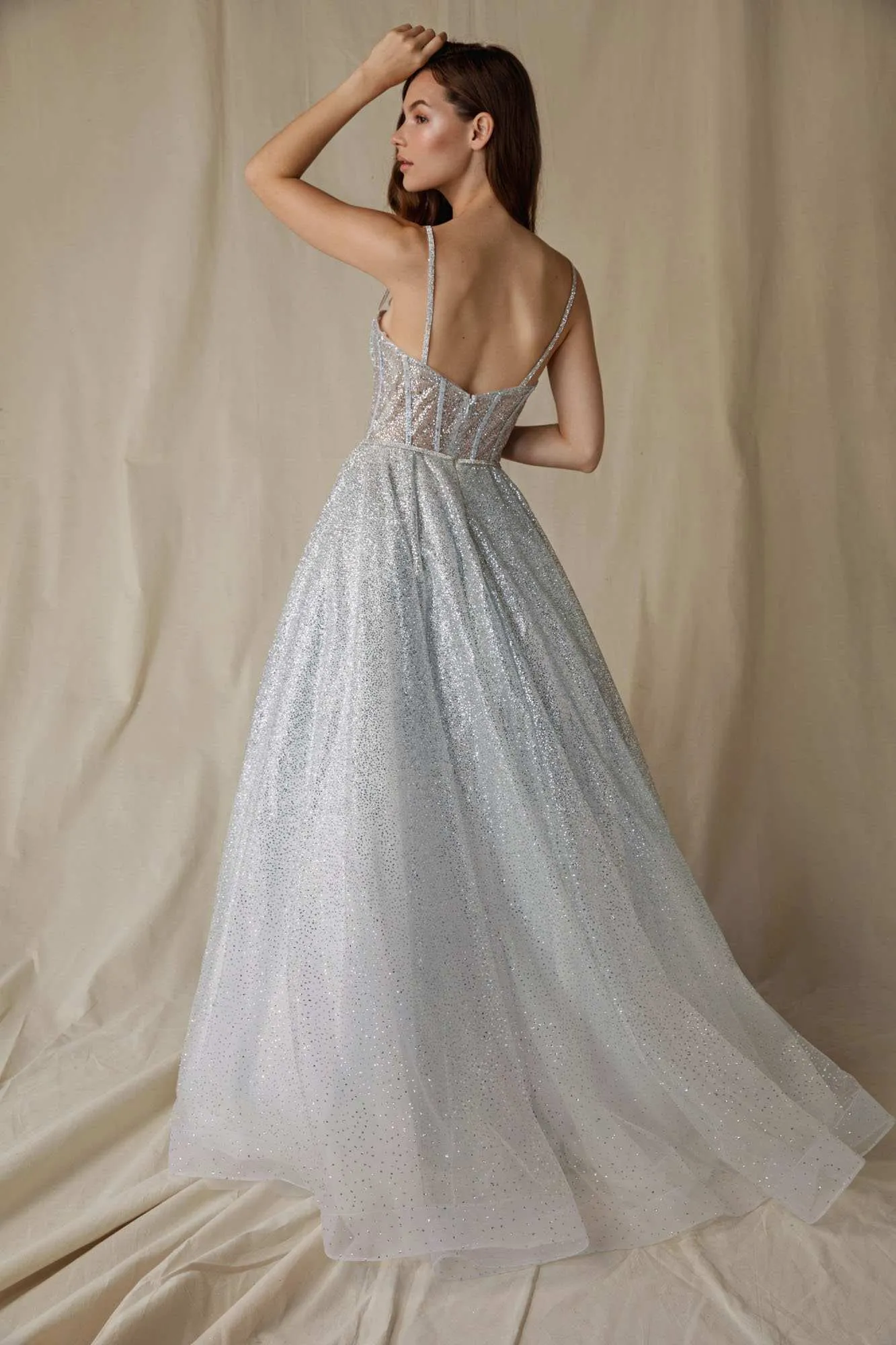 Eureka 9900 Long Glitter Mesh Gown with Boned Bodice