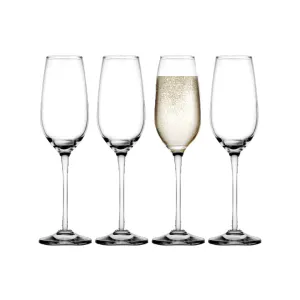 Maison Blanc S/4 6.75oz Flute Drinking Glass