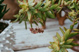 Rough Tourmaline Gemstone Rose Gold Filled Earrings
