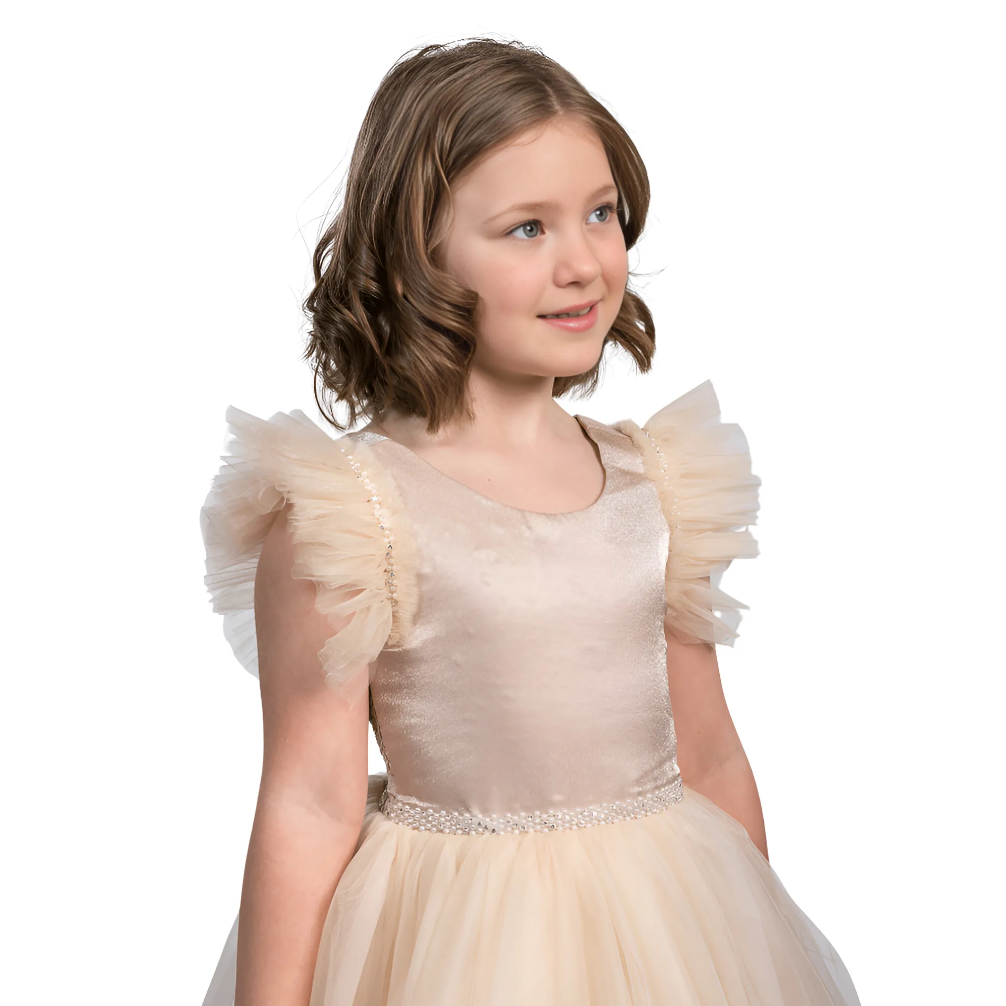 The Cutest Princess Girls Formal Dress